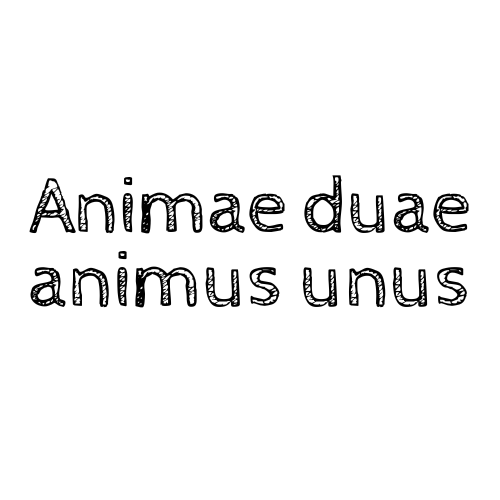 Animae duae, animus unus traduzione significato